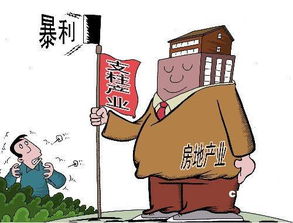 面對房產泡沫 房地產業的應對之道