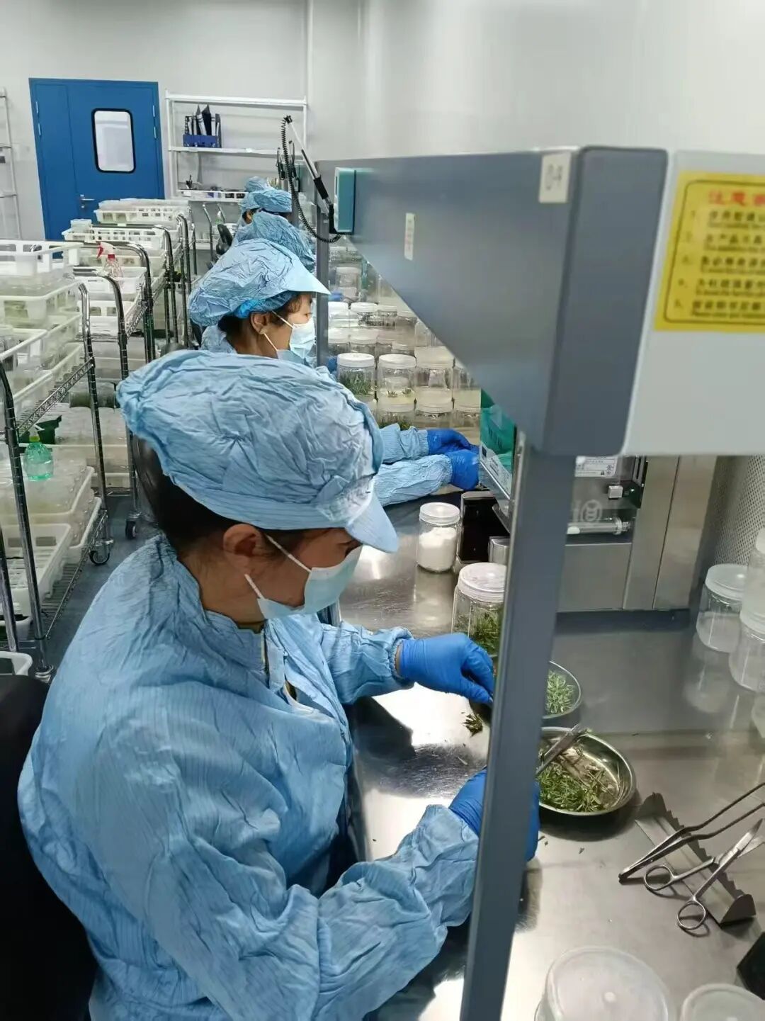 深耕鹽堿地 打造特色產(chǎn)業(yè)高質(zhì)量發(fā)展新引擎——黃河三角洲農(nóng)業(yè)高新技術(shù)產(chǎn)業(yè)示范區(qū)推動(dòng)鹽堿地特色產(chǎn)業(yè)發(fā)展綜述